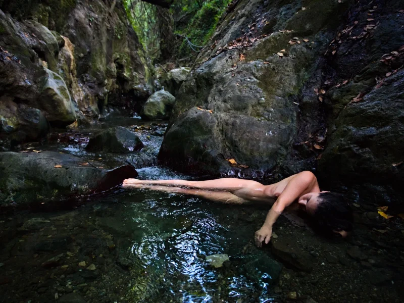 The spring