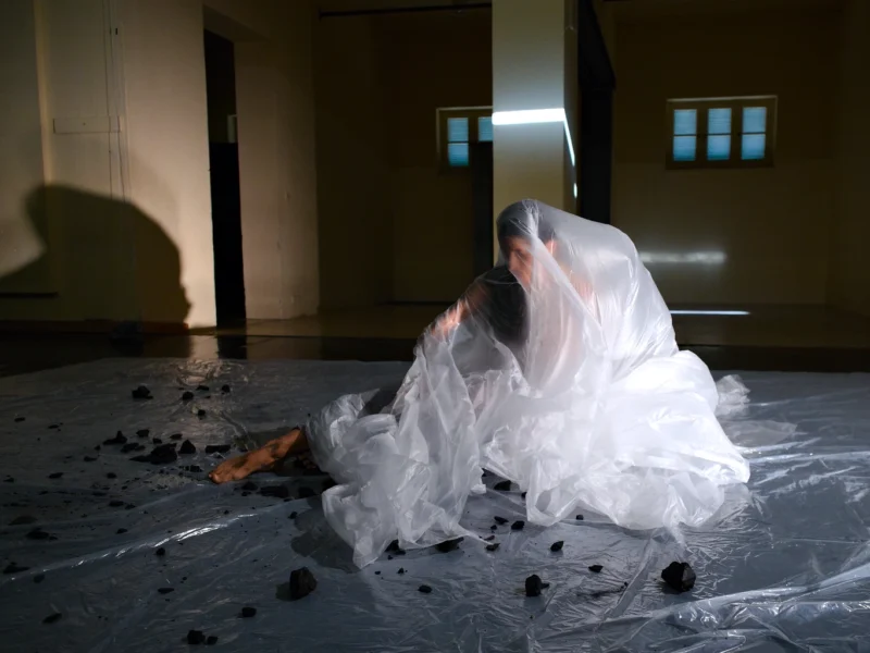 Once There Was A Forest